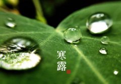 2020年农历八月二十九寒露节气日子适合祭祀祖先吗？