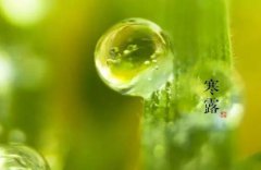 2020寒露节气怀孕好吗,要怎样保养身体