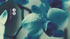 属龙的人在寒露节气出生命运是好是坏,会有怎样的命