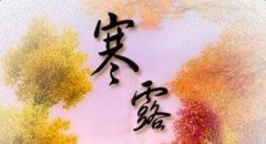 属鼠的人在寒露出生命运会怎么样,有怎样的命