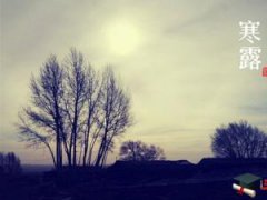 属牛的人寒露出生命会好吗,有怎样的出生运势