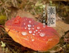 属虎的人寒露出生的话命会如何,是不是好命呢