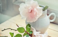 2020年国庆节去哪里旅游人少,国庆旅游好去处推荐!