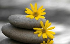 寒露忌讳是什么,2020年寒露有何禁忌注意？