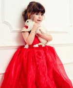 国庆节出生的属猪的人是什么样的命运