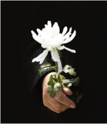 中秋节去世的人好吗?亲人去世有什么讲究?