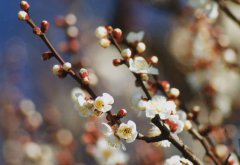 2020年农历八月二十七黄历日子如何,出行出远门好吗？