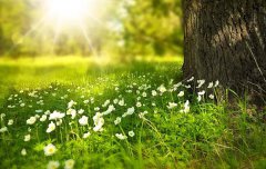 2020年农历八月二十四黄历日子如何,这天出远门好吗？