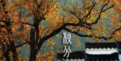 秋分是什么日子,这天有什么气候特征