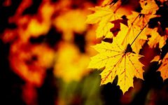 2020秋分还要几天,当天的日子好吗