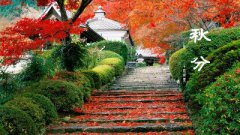 秋分禁忌，2020年秋分日这天有哪些不能做的？