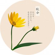 2020年9月23日秋分节气适合结婚办喜事吗？