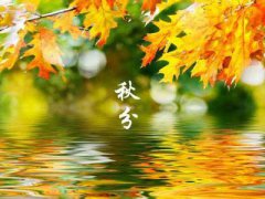 2020年秋分日子好吗,秋分这天属于黄道吉日吗？