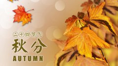 2020年秋分可以提车吗,秋分提车好不好？