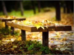 秋分节气的含义,什么是秋分节气