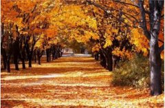 秋分节气简介，秋分来历