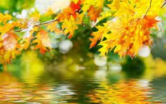 秋分节气的喜神方位在哪?