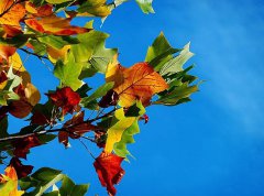 2020年农历八月十四秋分日子好吗，安床日子合适吗？