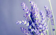 2020年秋分当天日好不好,秋分祭祀合适吗？