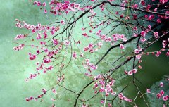 2020年农历八月初三黄历日子适合装修动土吗？