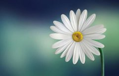 2020年农历八月初五黄历日子好吗,装修动土合适吗？