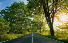 2020年农历八月十一是不是黄道吉日?