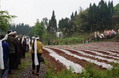 2020年农历八月二十七日适合出殡吗