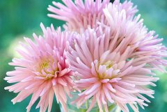 2020年农历八月二十九日子如何,适合出远门旅游吗？