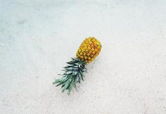 2020年农历八月二十四日子怎么样,理发好不好？