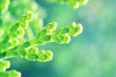 2020年农历八月二十六日子好不好,理发可以吗？