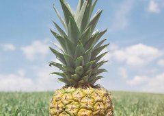 2020年农历八月二十五黄历日子如何,理发好不好？