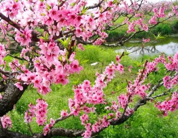 1606479397996486.png image.png