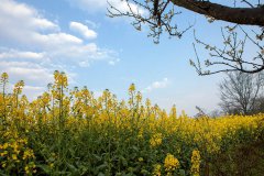 2020年农历八月十七日子好不好,出行旅游日子合适吗？