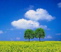 2020年农历八月二十四是不是黄道吉日？今日时辰吉凶如何？