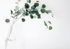 2020年农历八月初七黄历日子如何,理发合适吗？