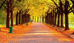 2020年农历八月十四出生属于什么星座？该星座2020年运势如何？