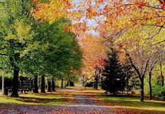 2020年农历八月十三出生属于什么星座？该星座较强本领是什么？