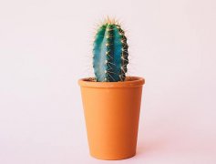 2020年农历八月初九黄历日子好吗,理发可以吗？