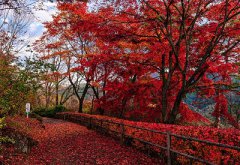 2020年农历八月廿二出生的宝宝属于什么星座？