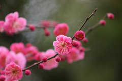 2020年农历八月十一日子怎么样,这天理发好不好？