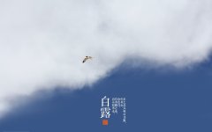 2020年白露以后还会热吗，天气转冷了吗？