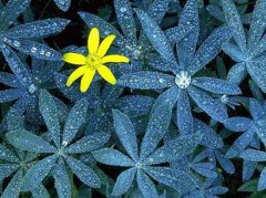 白露节气不能做什么事情