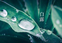 2020年9月8日白露，可以理发吗？