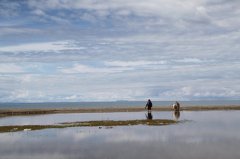 2020年农历八月初五出生宝宝属于什么星座？