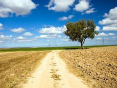 2020年农历八月初六属于黄道吉日吗？今日时辰吉凶分析