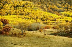 2020年农历八月初七出生属于什么星座？对应的生日密码是什么？