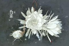 白露有什么习俗,二十四节气之一的白露节气习俗