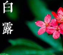 白露节气有什么活动,各个地区都相同吗