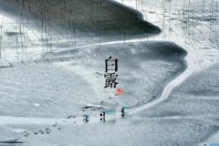 白露节气有什么风俗,各个地区之间有什么不同