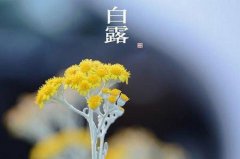 白露有什么风俗习俗,细数白露时节的风俗